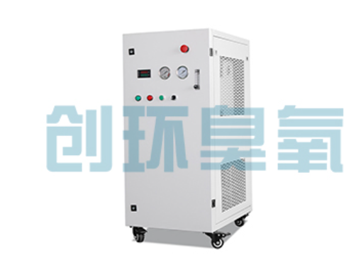 忻州石斑鱼养殖水质调控完整指南:臭氧发生器配置与操作步骤