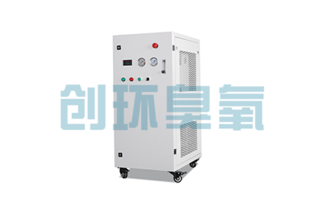 忻州比传统换水更高效?臭氧发生器在石斑鱼养殖中的水质净化原理解析